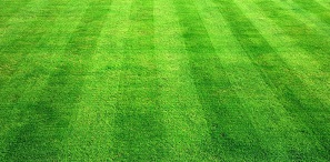 искусственный газон в Атырау